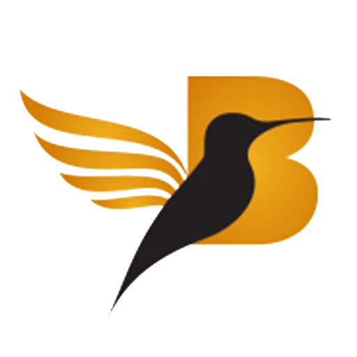 Brandbirds logo